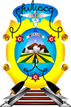 MUNICIPALIDAD PROVINCIAL DE SAN ROMAN - JULIACA